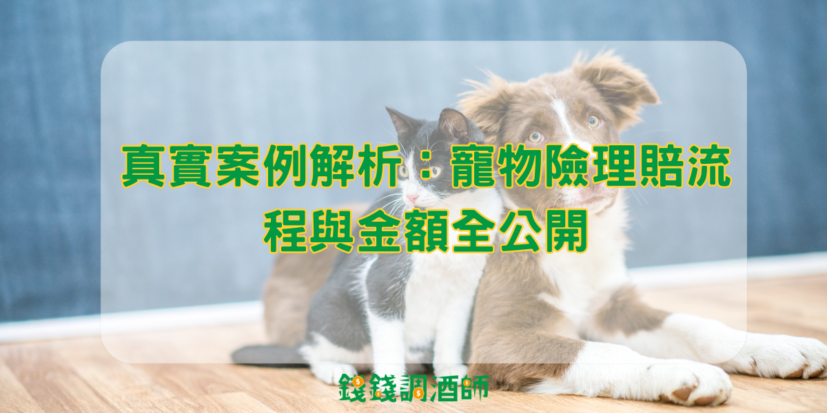 真實案例解析：寵物險理賠流程與金額全公開